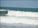 Surf Praia do Rosa